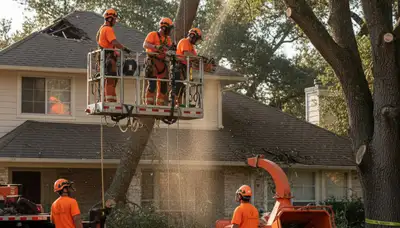 Emergency tree removal crew in Oshkosh, WI responding to storm-damaged trees and hazards