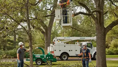 Arbor Tree Care treating diseased trees in Oshkosh, WI for fungal, bacterial, and pest damage