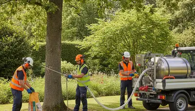 Oshkosh, WI arborist applying tree fertilizer to support root health and growth