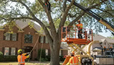 Professional tree removal crew safely removing a hazardous tree in Oshkosh, WI