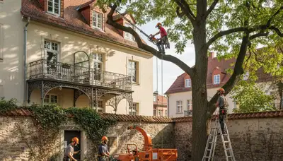 Tree service crew in Oshkosh, WI handling safe tree removal and trimming for a residential property