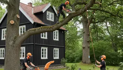 Tree service crew providing tree removal in Oshkosh, WI for residential and commercial properties