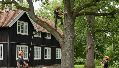 Tree service crew in Oshkosh, WI performing professional tree removal and trimming