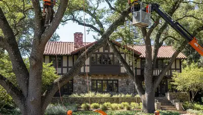 Tree service crew in Oshkosh, WI providing professional tree removal and trimming services