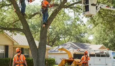 Tree trimming crew improving tree health and yard safety in Oshkosh, WI